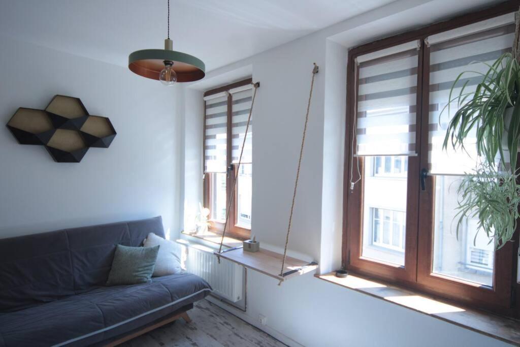 Appartement 90 M2 Vic-sur-Seille Екстер'єр фото